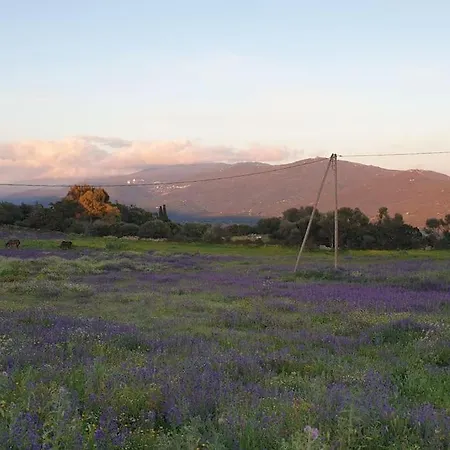 Semesterbostad Mini 72, Avec Piscine. Serra-di-Ferro (Corsica)