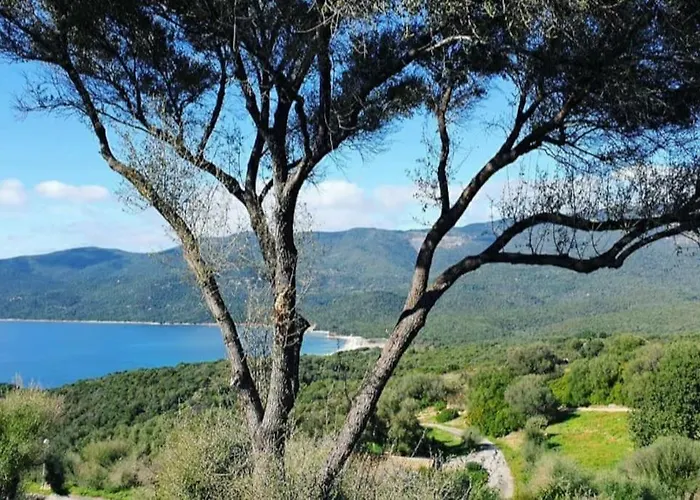 Feriehus Mini 72, Avec Piscine. Serra-di-Ferro (Corsica)