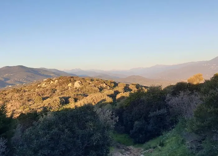 Mini 72, Avec Piscine.