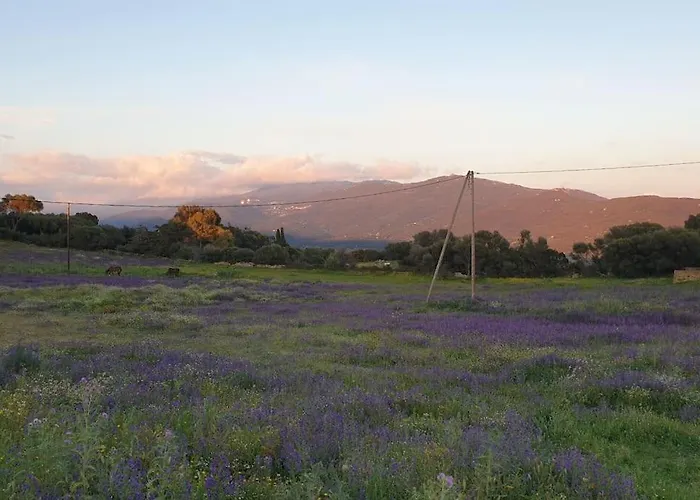 Vakantiehuis Mini 72, Avec Piscine. Serra-di-Ferro (Corsica)